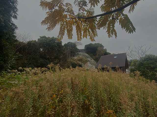 2024年秋季 SOLD OUT