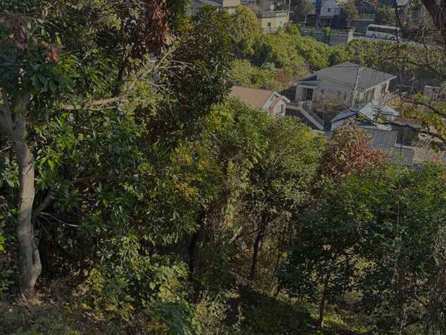 2024年夏季 SOLD OUT