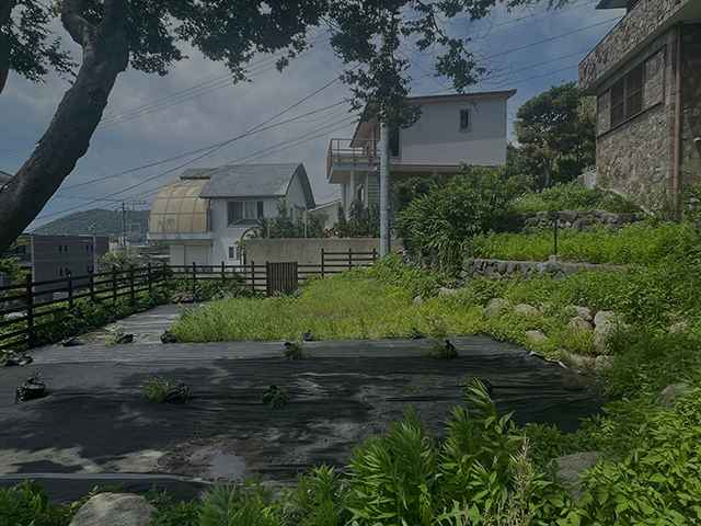 2025年秋季 SOLD OUT