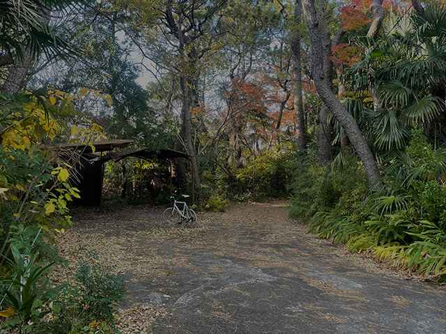 2025年春季 SOLD OUT