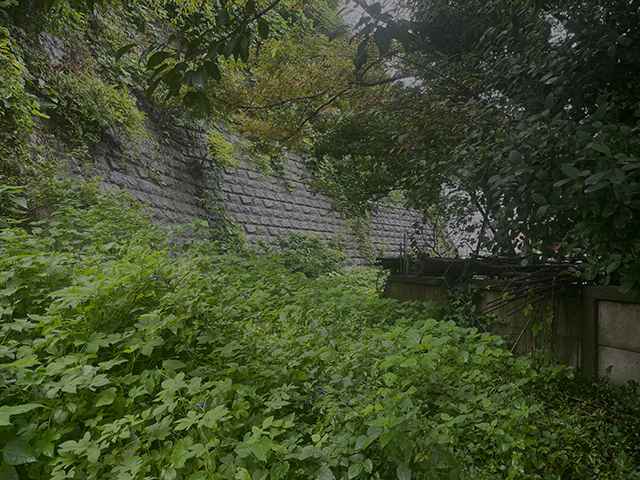 2025年冬季 SOLD OUT