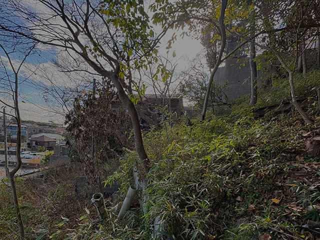 2026年秋季 COMING SOON…