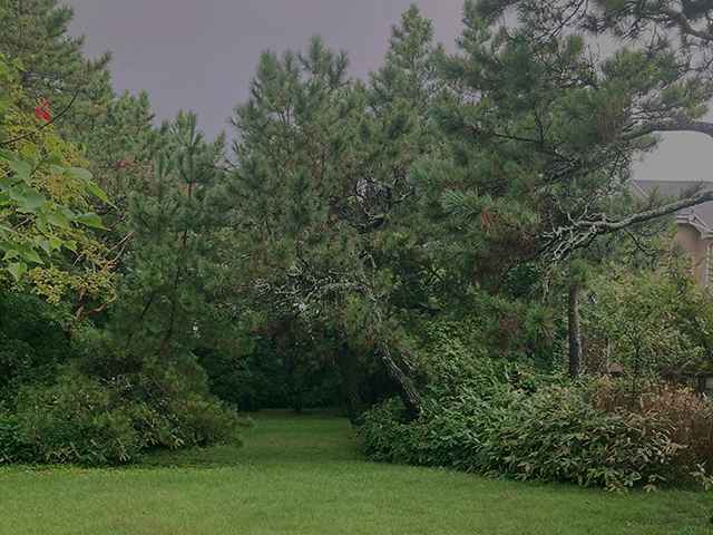 2026年春季 残り1枠