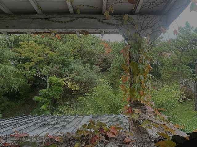 2027年春季 COMING SOON…