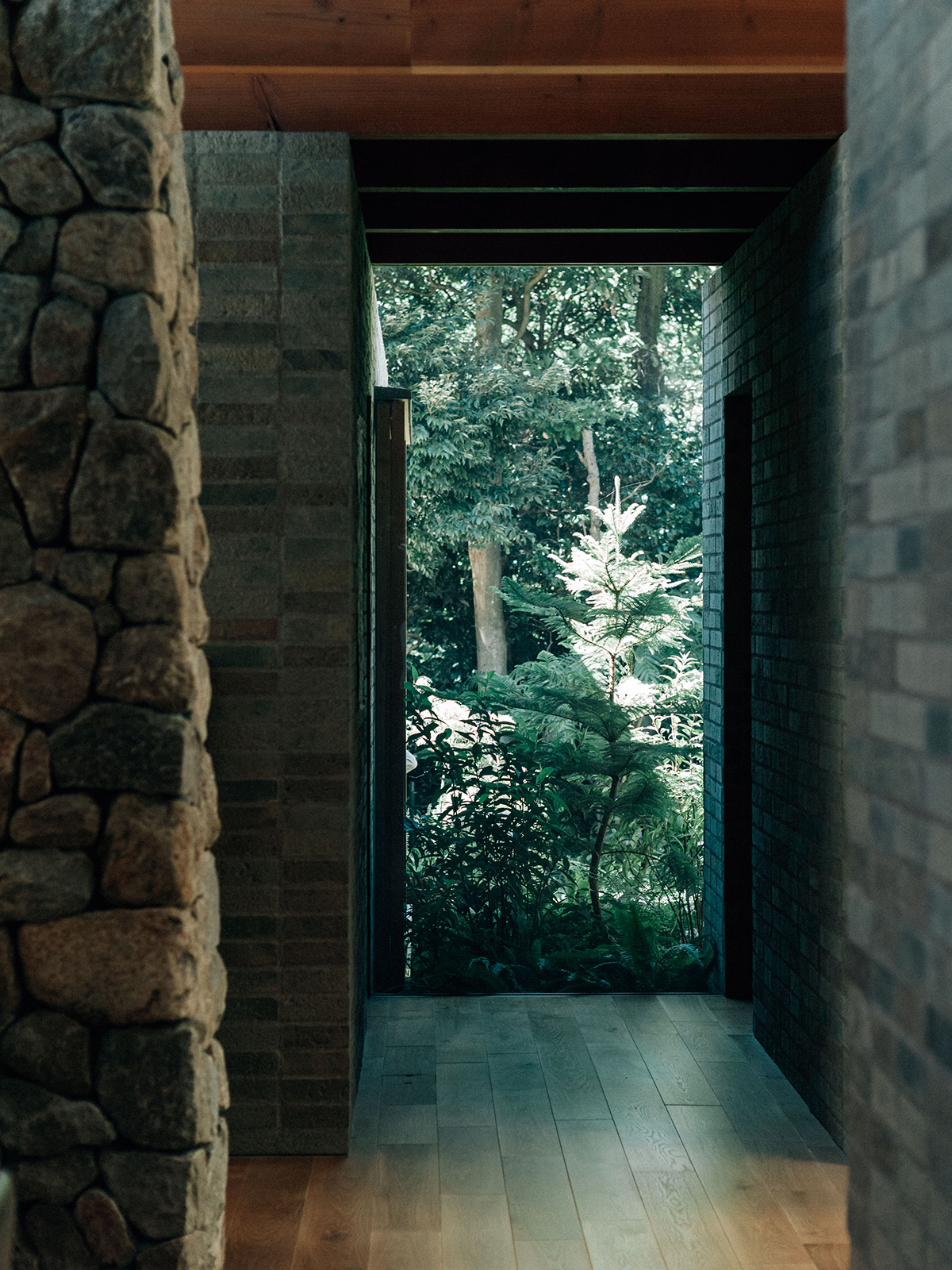 自然の表情が覗く